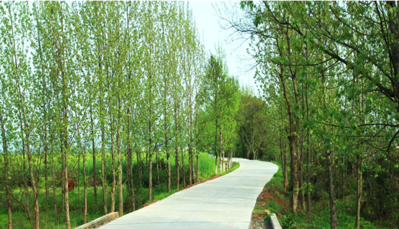 江西信豐縣工業(yè)園科之光路（緯二路）新建大道、產(chǎn)業(yè)大道北段一期工程設(shè)計(jì)、施工總承包（EPC）